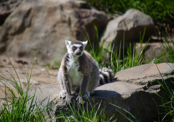 Similar image 22289330