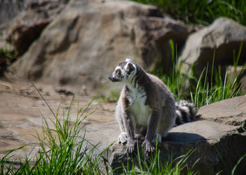 Similar image 22289331