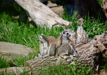 Similar image 22289332