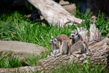 Similar image 22289333