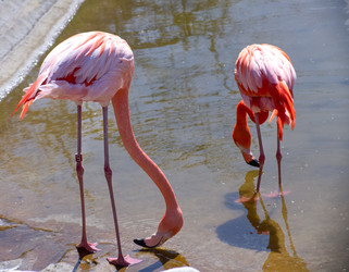 Similar image 22289334