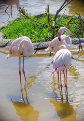 Similar image 22289335