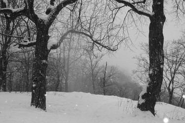 Similar image 22289344