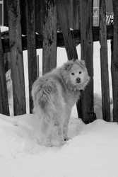 Similar image 22289346