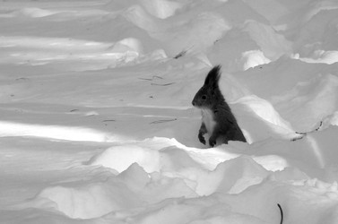 Similar image 22289347