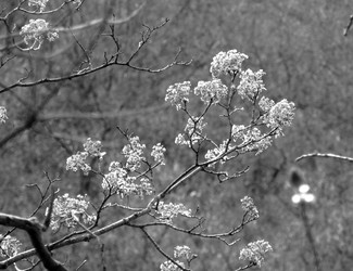 Similar image 22289348