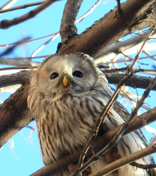 Similar image 22289352