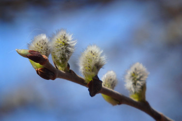 Similar image 22289353