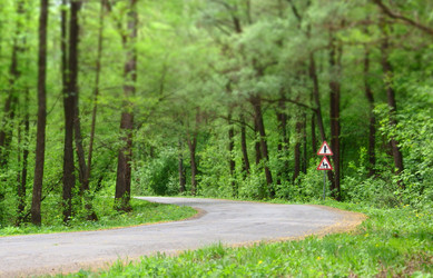 Similar image 22289354