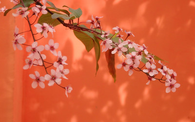 Similar image 22289355