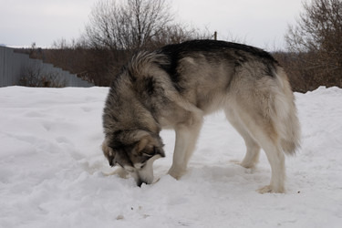 Similar image 22289834