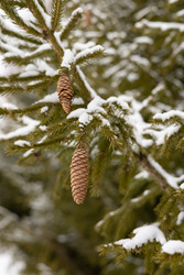 Similar image 22289835