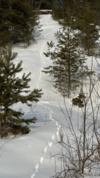 Similar image 22289851