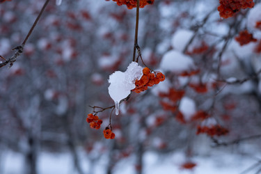 Similar image 22289853