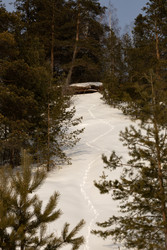 Similar image 22289859