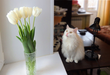 Similar image 22289356