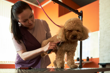 Similar image 22263224