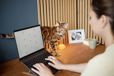 Similar image 22260921