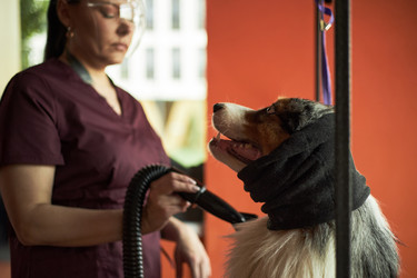 Similar image 22263196