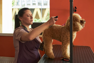 Similar image 22263205