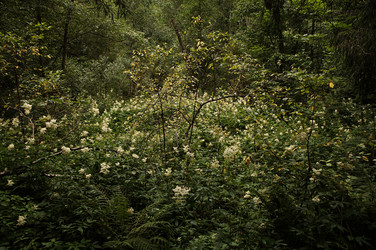 Similar image 22263868