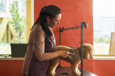 Similar image 22263207