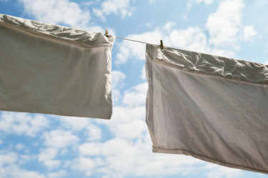 Similar image 22262455