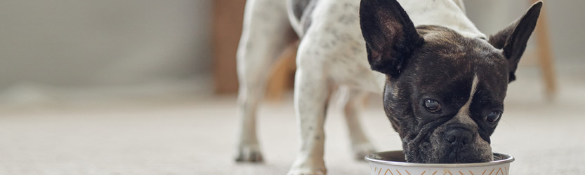 Similar image 22260940