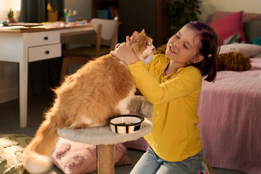 Similar image 22262651