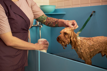 Similar image 22263241