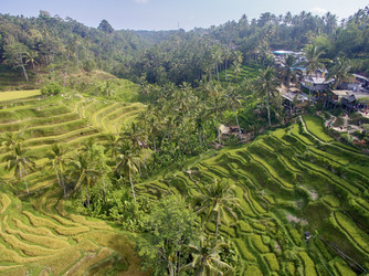 Similar image 22262920