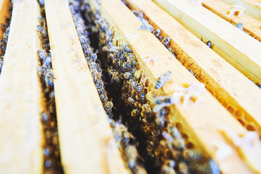 Similar image 22261380