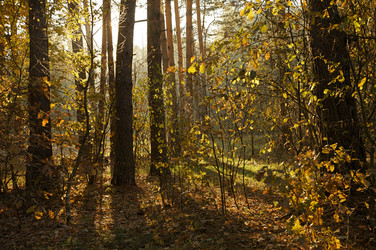 Similar image 22263867