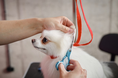 Similar image 22260756