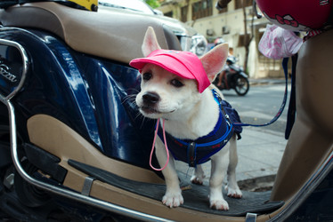 Similar image 22263923