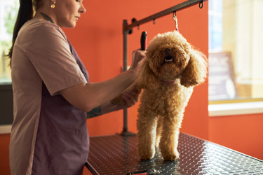 Similar image 22263199