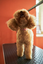 Similar image 22263225