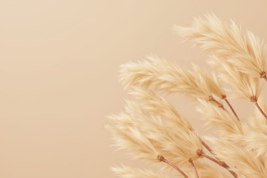 Similar image 22265404