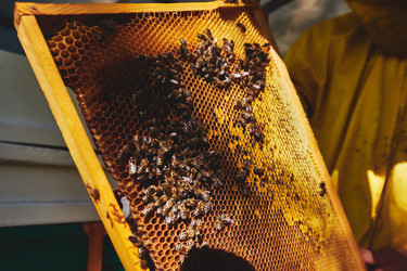 Similar image 22261358