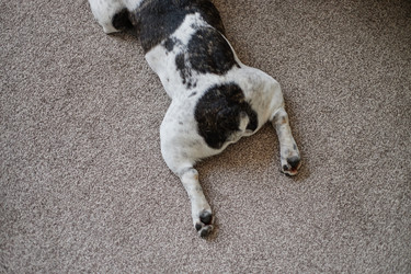 Similar image 22260908