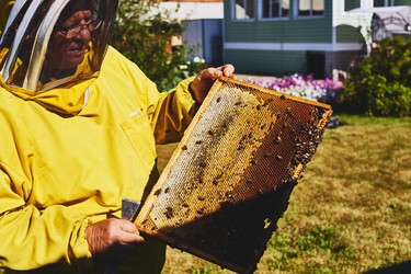 Similar image 22261359