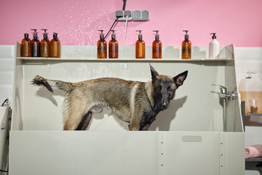 Similar image 22260771