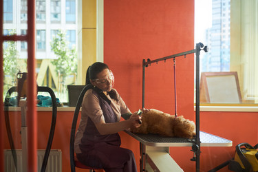 Similar image 22263250