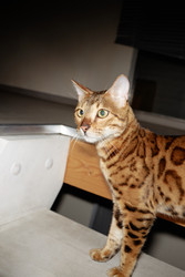 Similar image 22260916