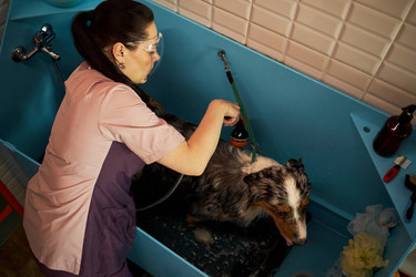 Similar image 22263272