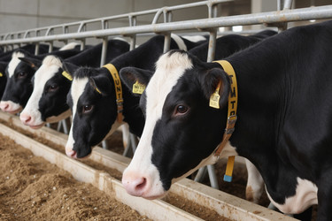 Similar image 22265439