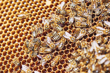 Similar image 22261367