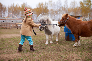 Similar image 22261438