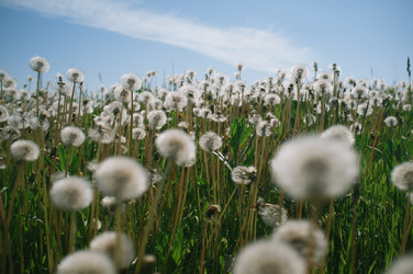 Similar image 22263821