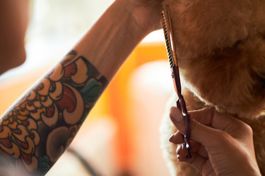 Similar image 22263256